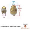 Decorative Rectangular Brass Bell Push 